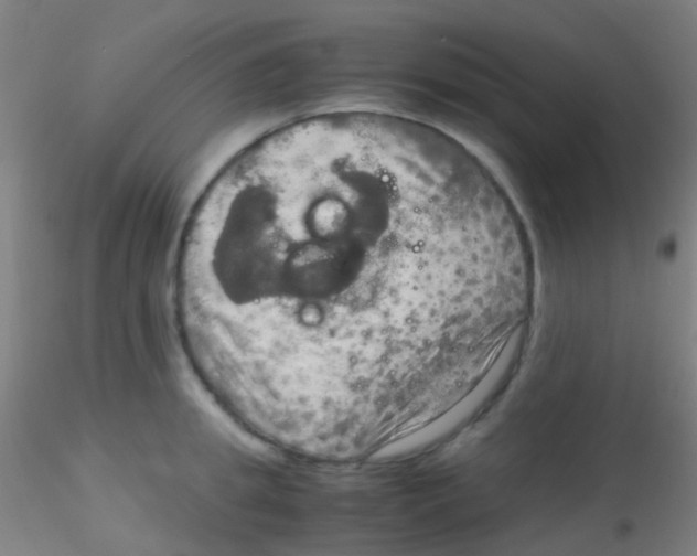 X0000115190949200911251416