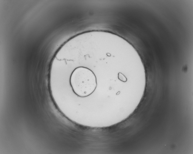 X0000115190950200911251416