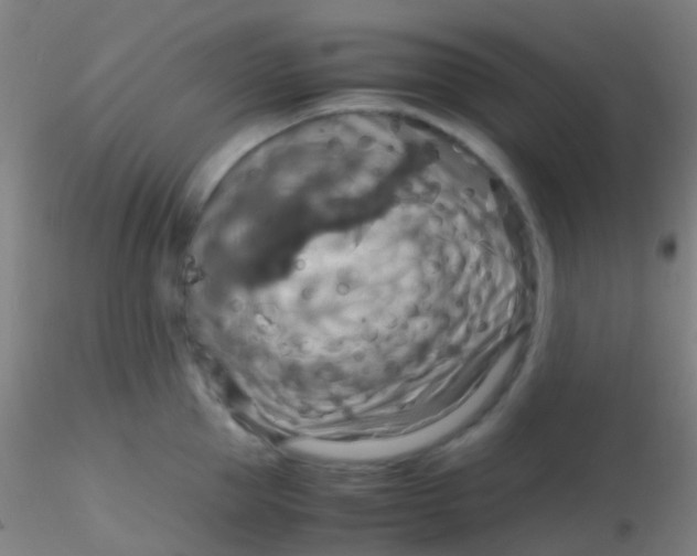 X0000115190953200911251416