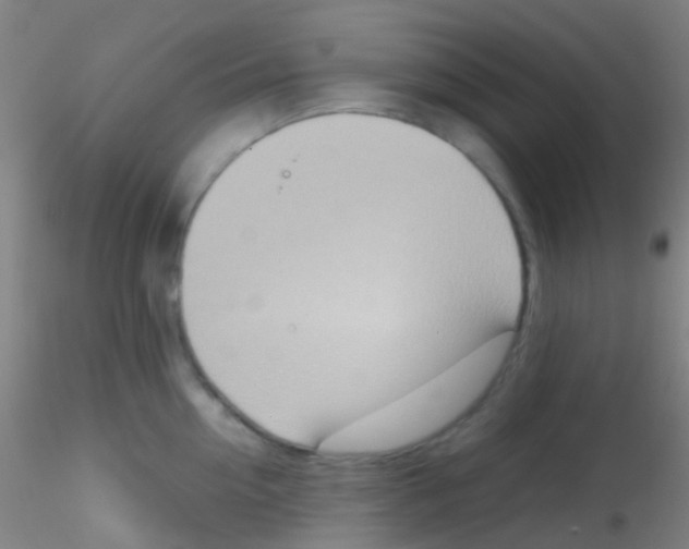 X0000115190954200911251416