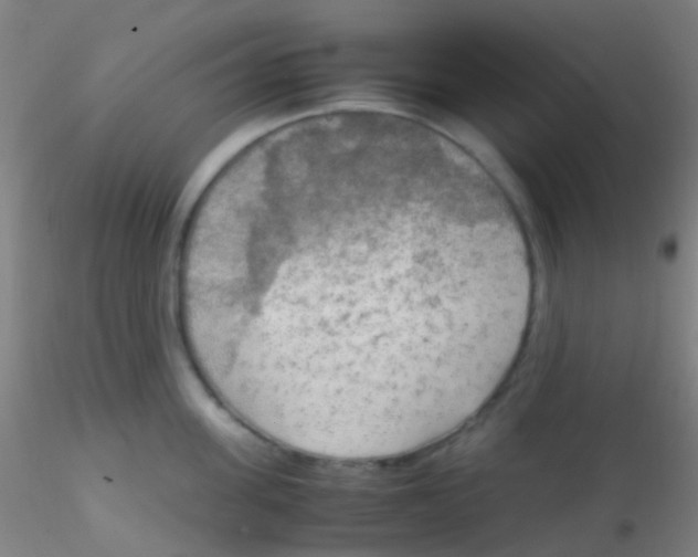 X0000115190955200911251416