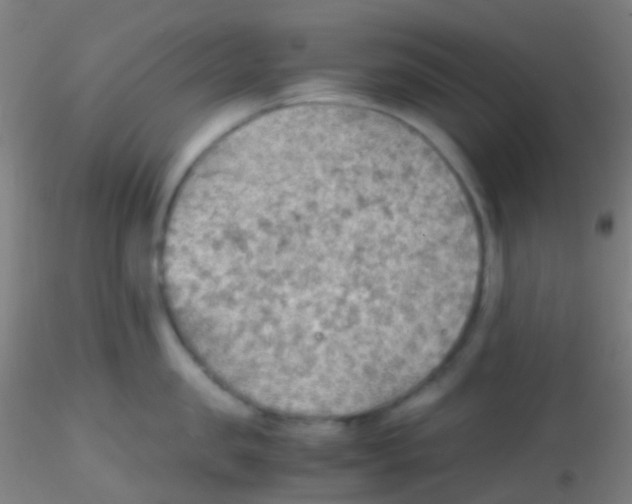 X0000115190957200911251416