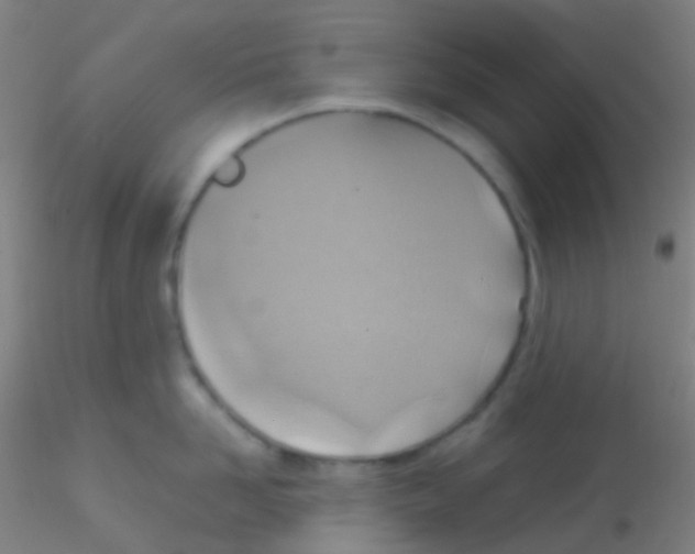 X0000115190958200911251417