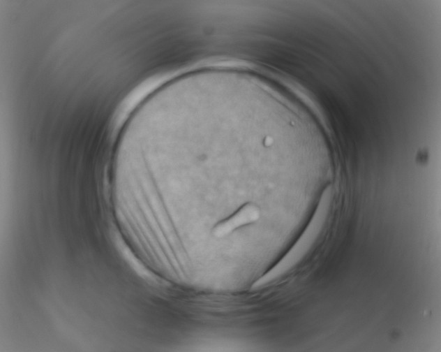 X0000115190959200911251417