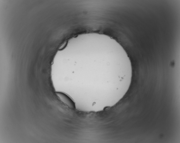 X0000115190961200911251416