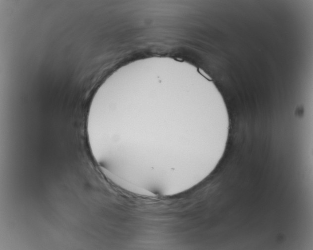 X0000115190962200911251416