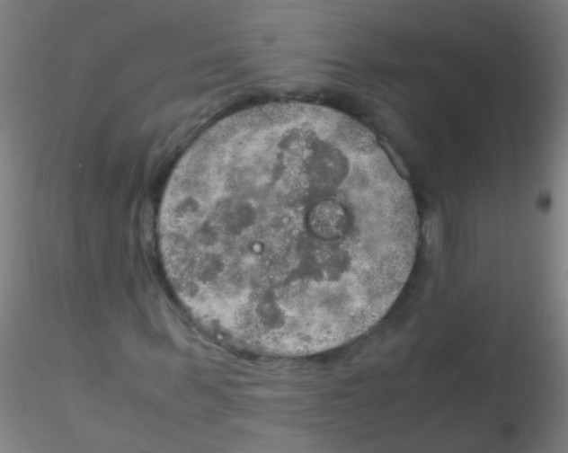 X0000115190963200911251416