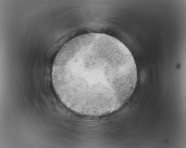 X0000115190964200911251416