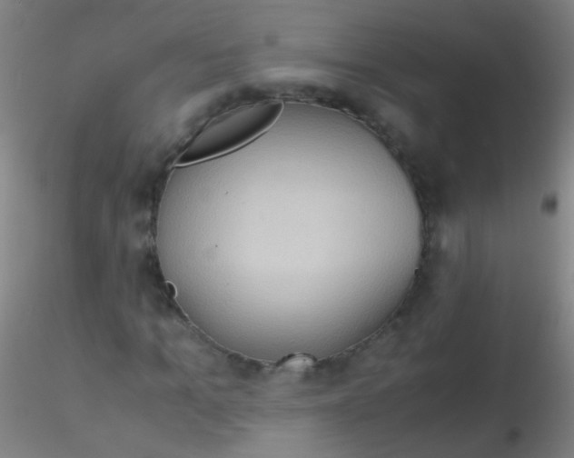 X0000115190965200911251416