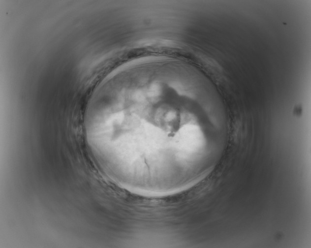 X0000115190966200911251416