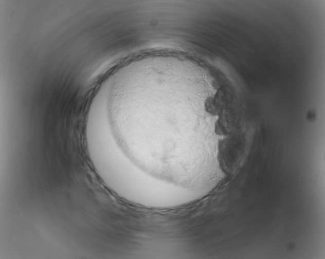 X0000115190968200911251416