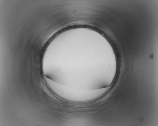 X0000115190969200911251416