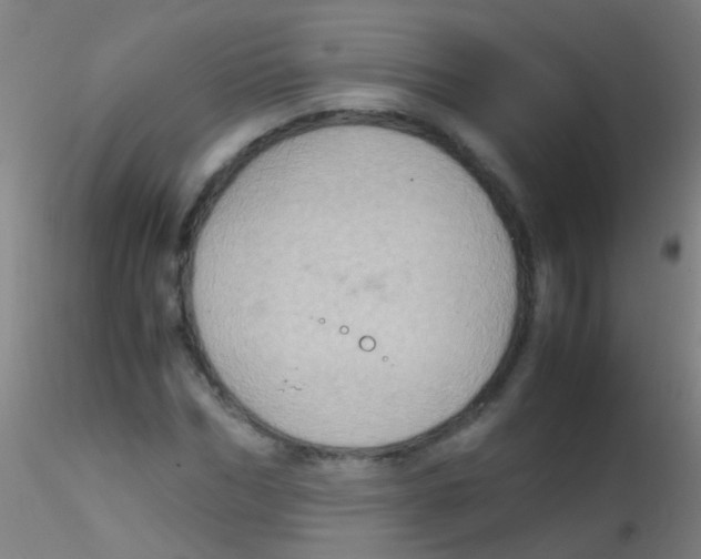 X0000115190970200911251416