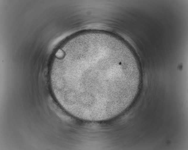 X0000115190971200911251416