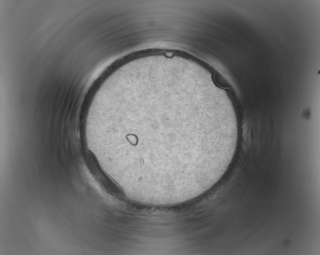 X0000115190972200911251416