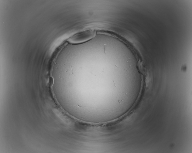 X0000115190973200911251416