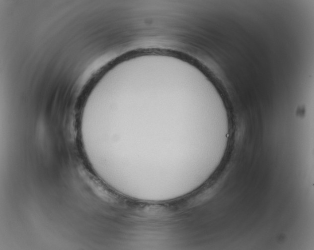 X0000115190974200911251416