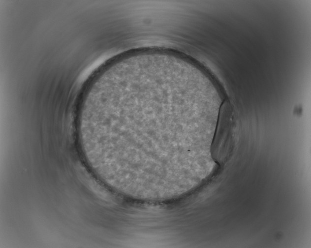 X0000115190975200911251416