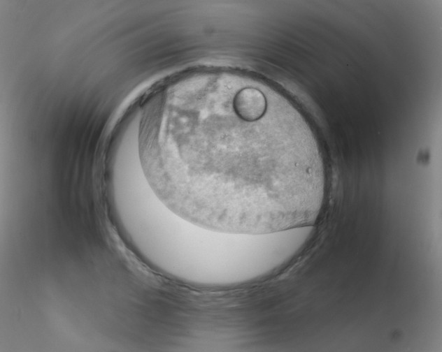 X0000115190976200911251416