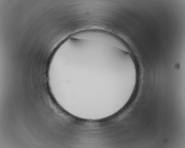 X0000115190977200911251416