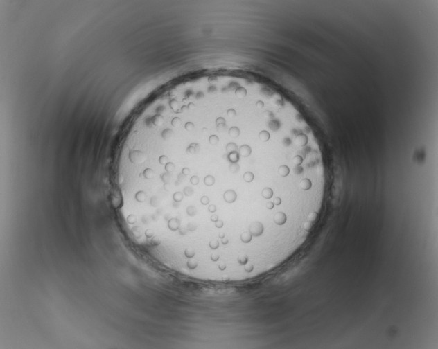 X0000115190978200911251416