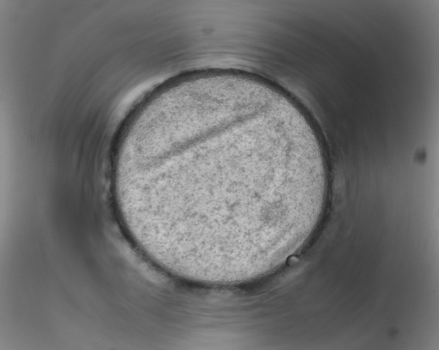 X0000115190979200911251416