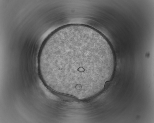 X0000115190980200911251416