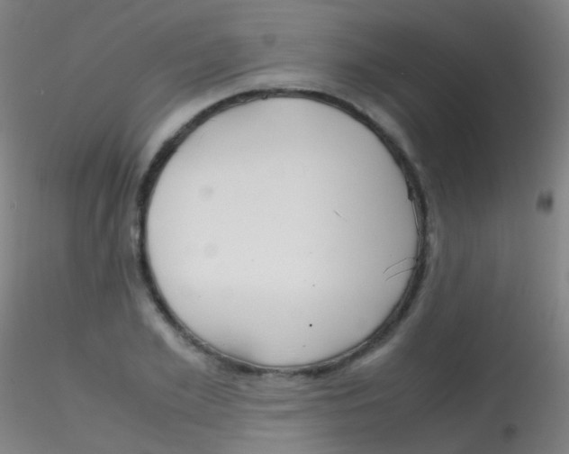 X0000115190981200911251416