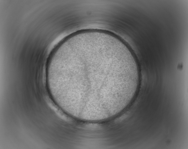 X0000115190982200911251416