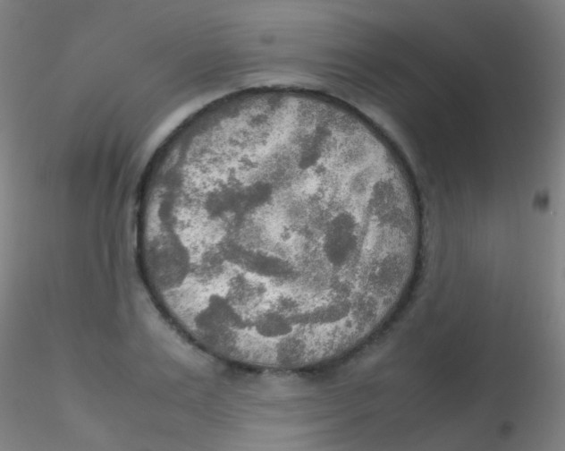 X0000115190983200911251416