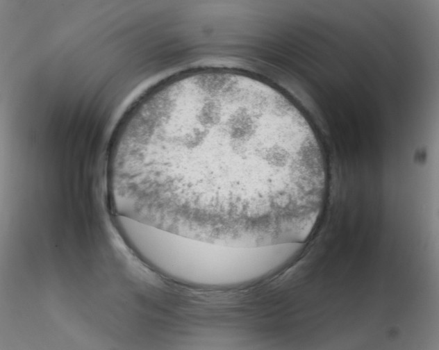 X0000115190984200911251416