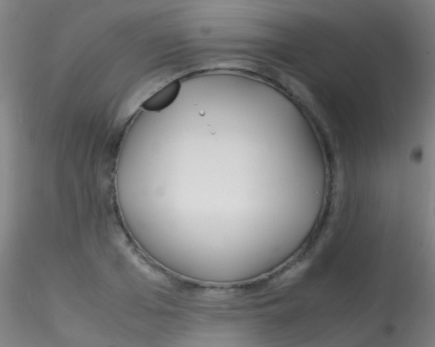 X0000115190985200911251416