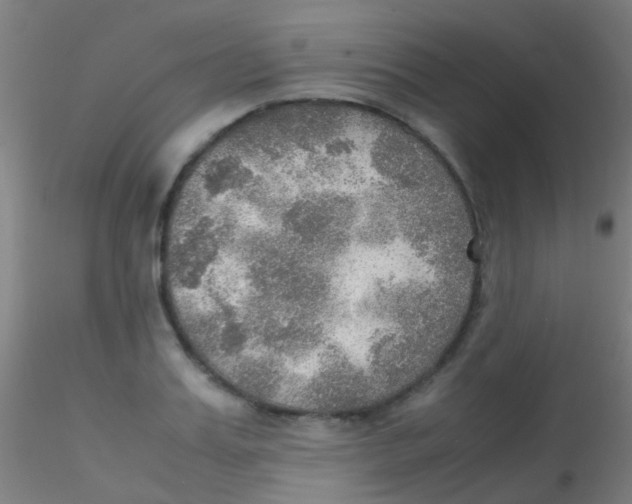 X0000115190987200911251416