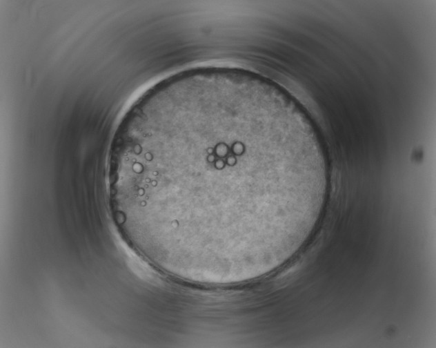 X0000115190988200911251416