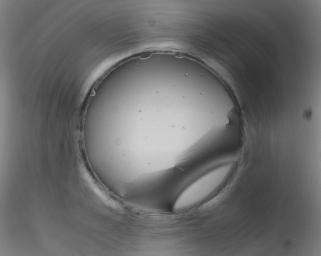 X0000115190989200911251415