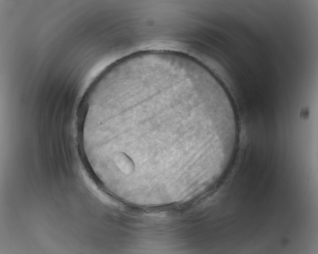 X0000115190990200911251415