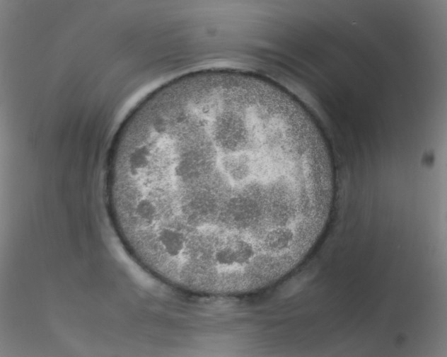 X0000115190991200911251415