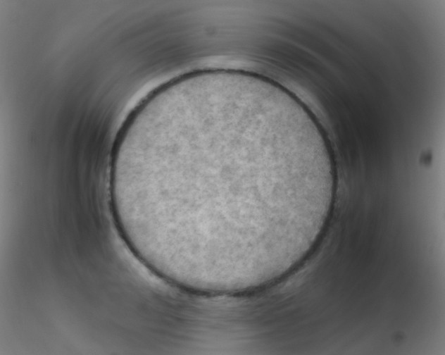 X0000115190992200911251415