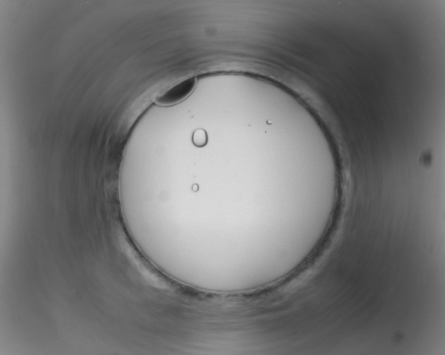 X0000115190993200911251415