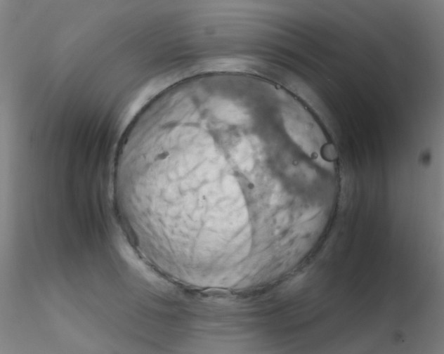 X0000115190994200911251415