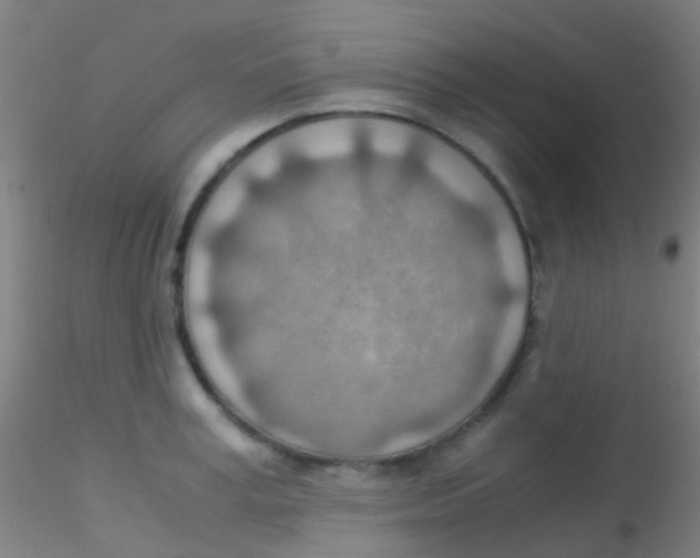 X0000115190995200911251415