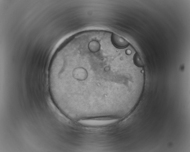 X0000115190996200911251415