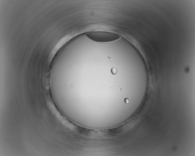 X0000115190997200911251415