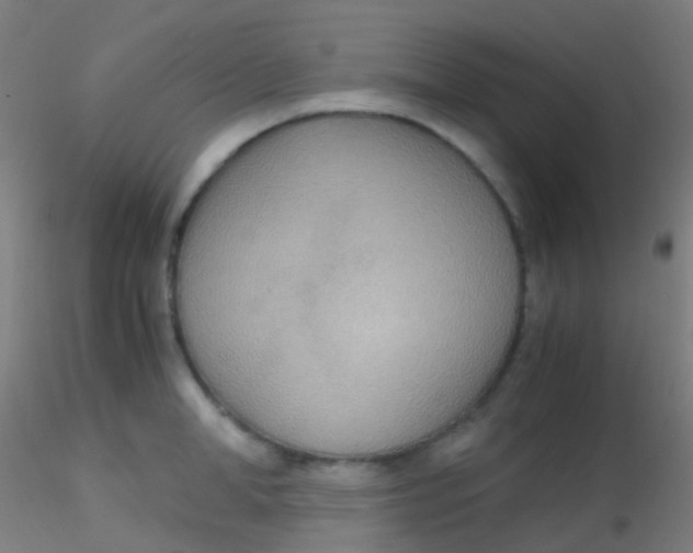 X0000115190998200911251415