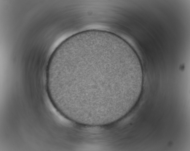 X0000115190999200911251415