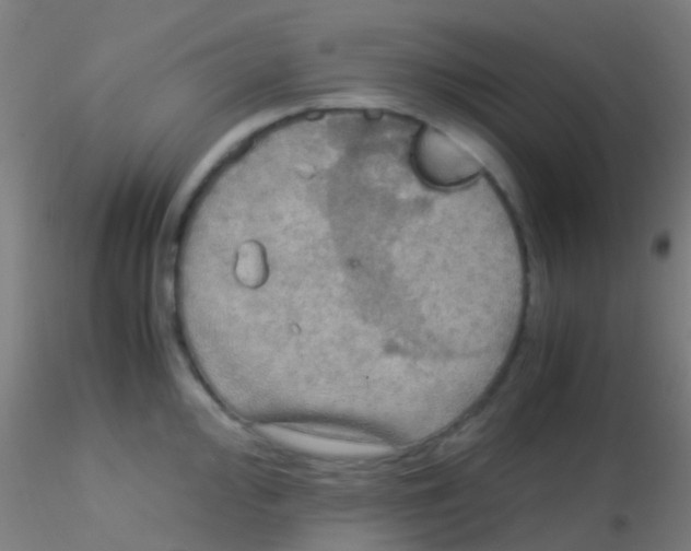 X0000115191000200911251415