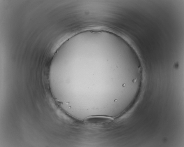 X0000115191001200911251415