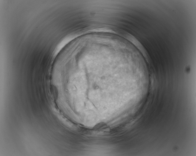 X0000115191002200911251415