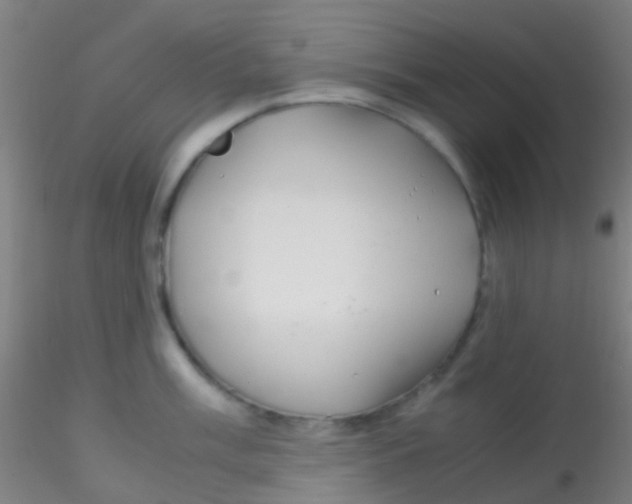 X0000115191003200911251415