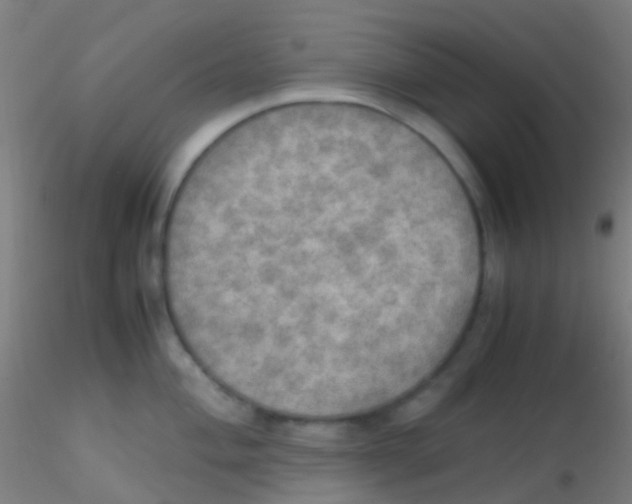 X0000115191004200911251415